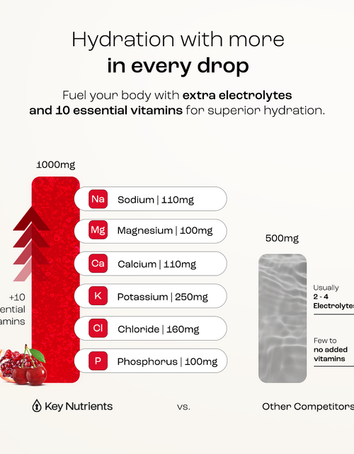 Load image into Gallery viewer, Electrolyte Recovery Plus Powder (Sugar-Free)
