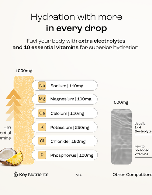 Load image into Gallery viewer, Electrolyte Recovery Plus Powder (Sugar-Free)
