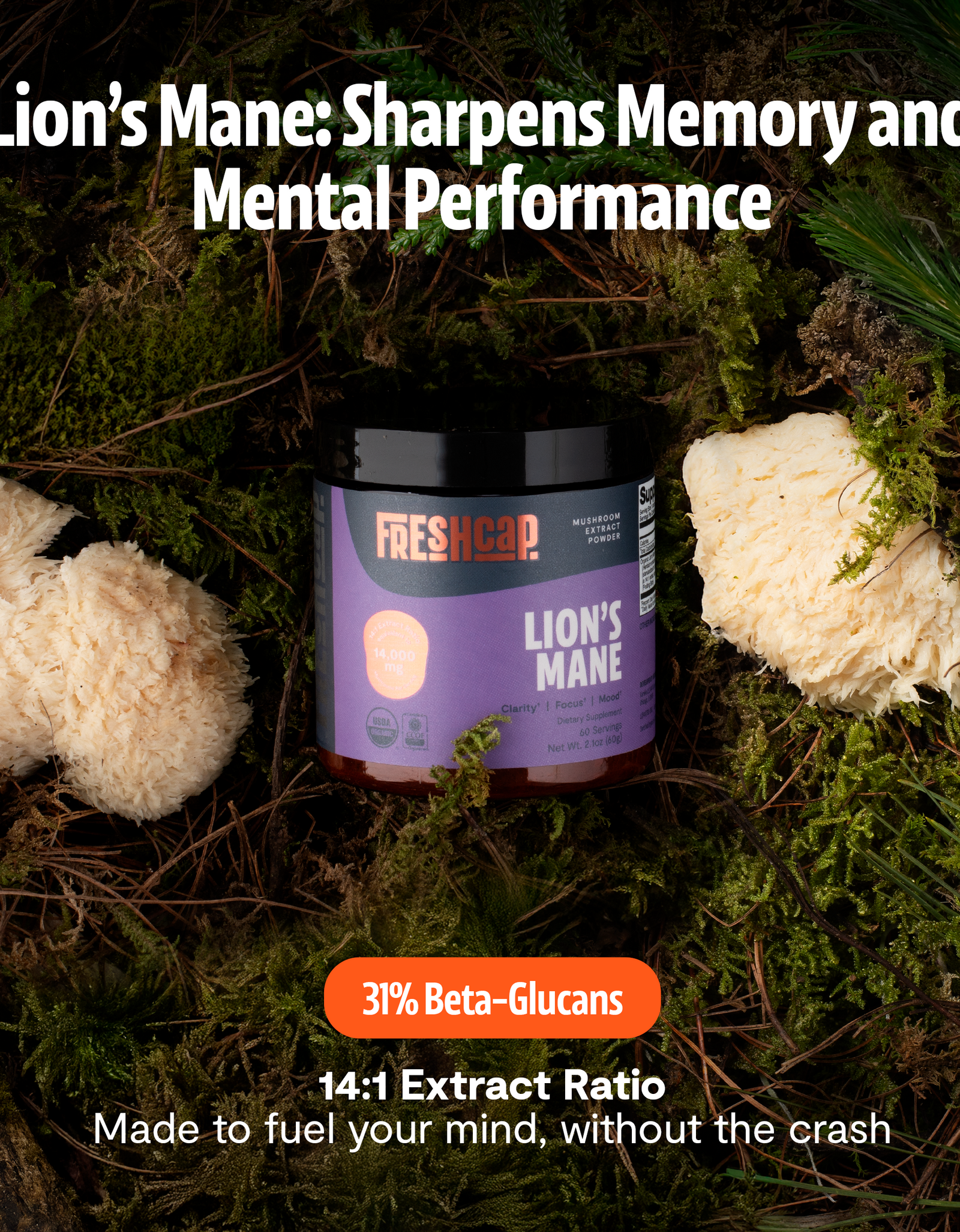 Ultimate Mushroom Complex Capsules