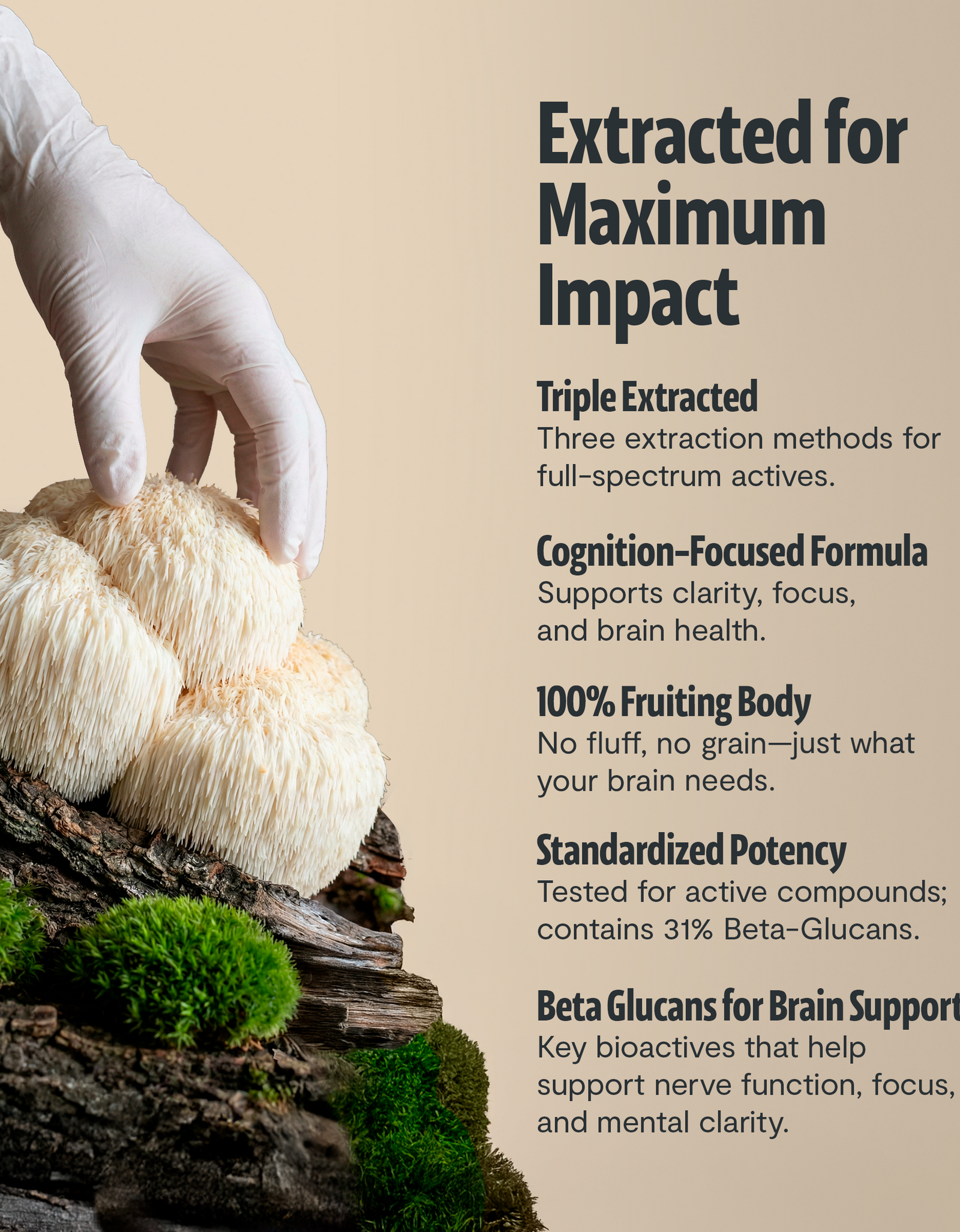 Ultimate Mushroom Complex Capsules