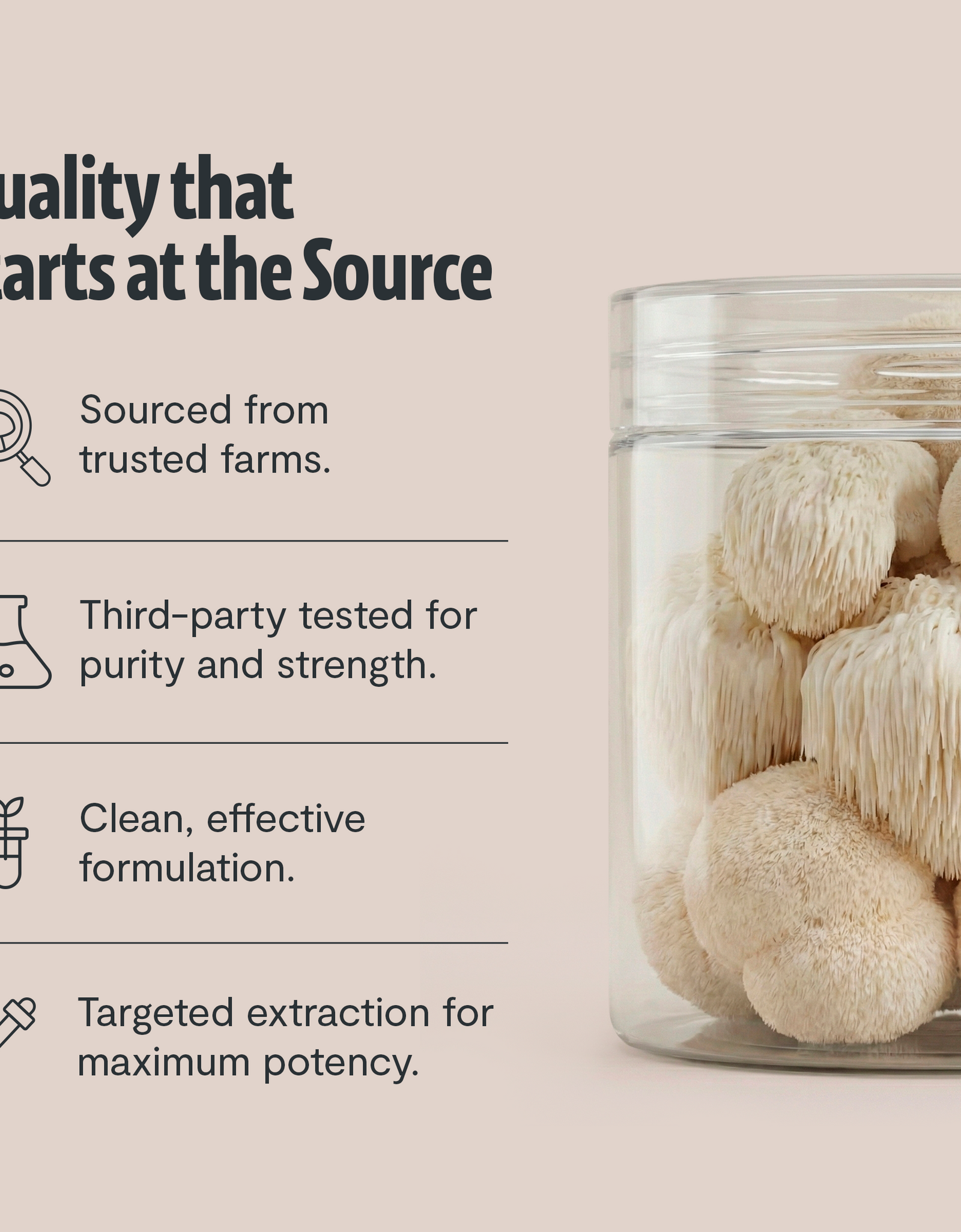 Ultimate Mushroom Complex Capsules