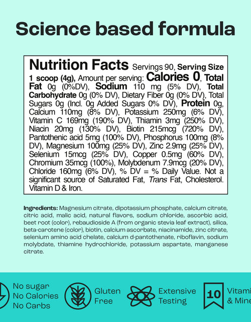 Load image into Gallery viewer, Electrolyte Recovery Plus Powder (Sugar-Free)
